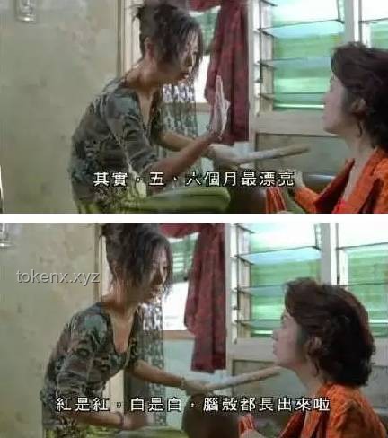 **一次大扫除后的惊魂记，我再也不敢搞卫生了！**