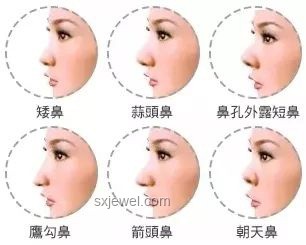 什么样的鼻子才算高鼻梁，判定标准揭秘